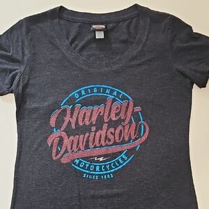 Harley-Davidson Charcoal Tee with Vibrant Logo
